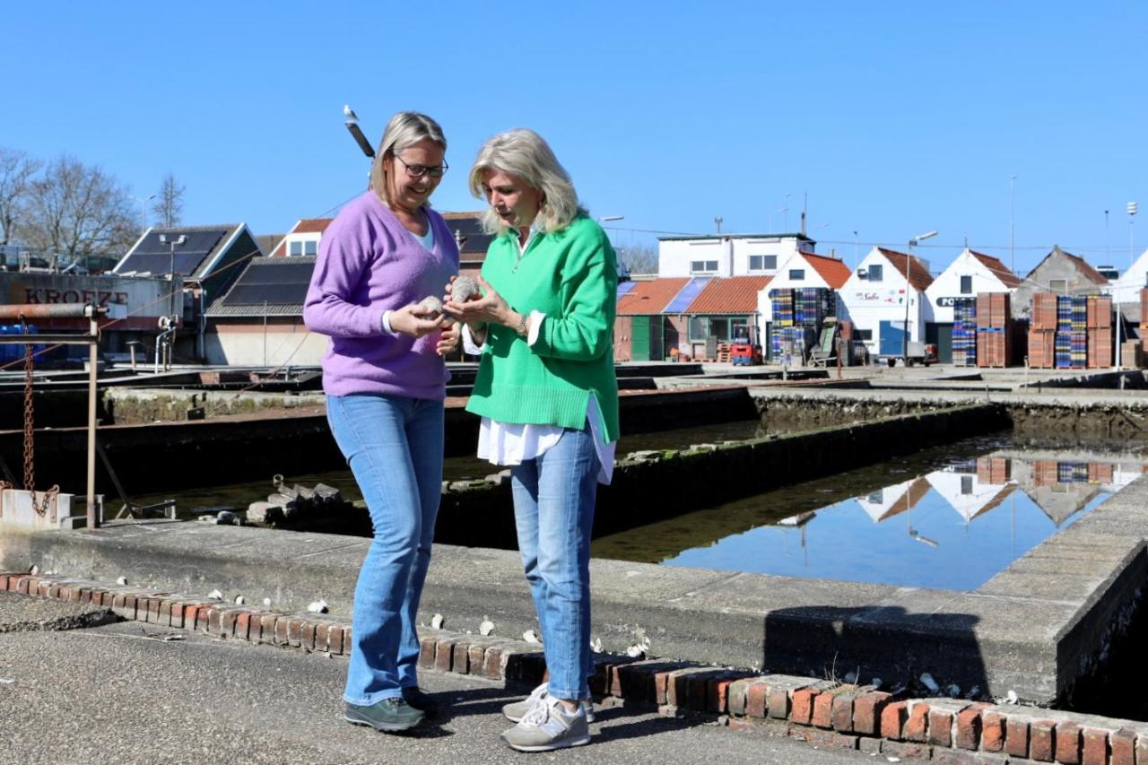 Wolphaartsdijk Huis Met Een Uitzicht Esterno foto